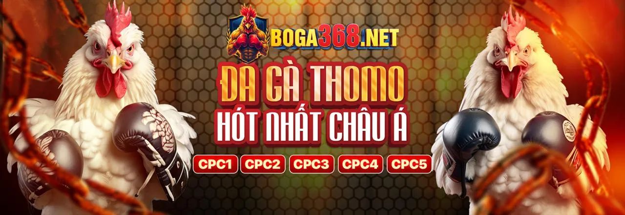 Hình ảnh chính về cá cược thể thao 88day win